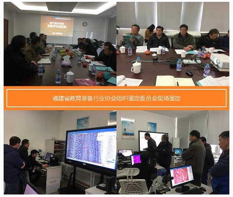 1359051fagcxcoieqag0h10o3l